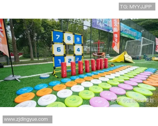 飞盘盛宴：深入了解南京飞盘队的训练与竞技状态